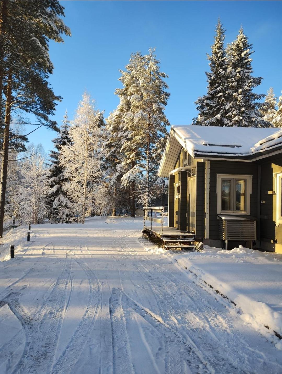 Villa Aleksi With Sauna Rovaniemi Extérieur photo